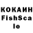 КОКАИН Fish Scale Mykhailo Yevdosmchek
