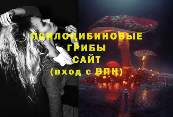 экстази Богданович