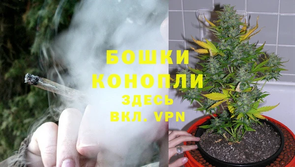 экстази Богданович