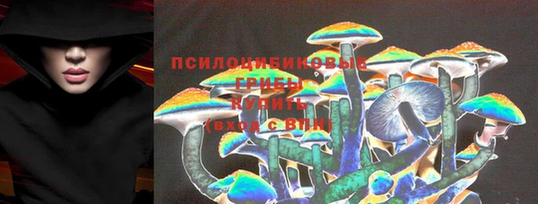 экстази Богданович