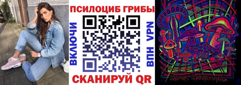 Купить  Бронницы  Псилоцибиновые грибы GOLDEN TEACHER 